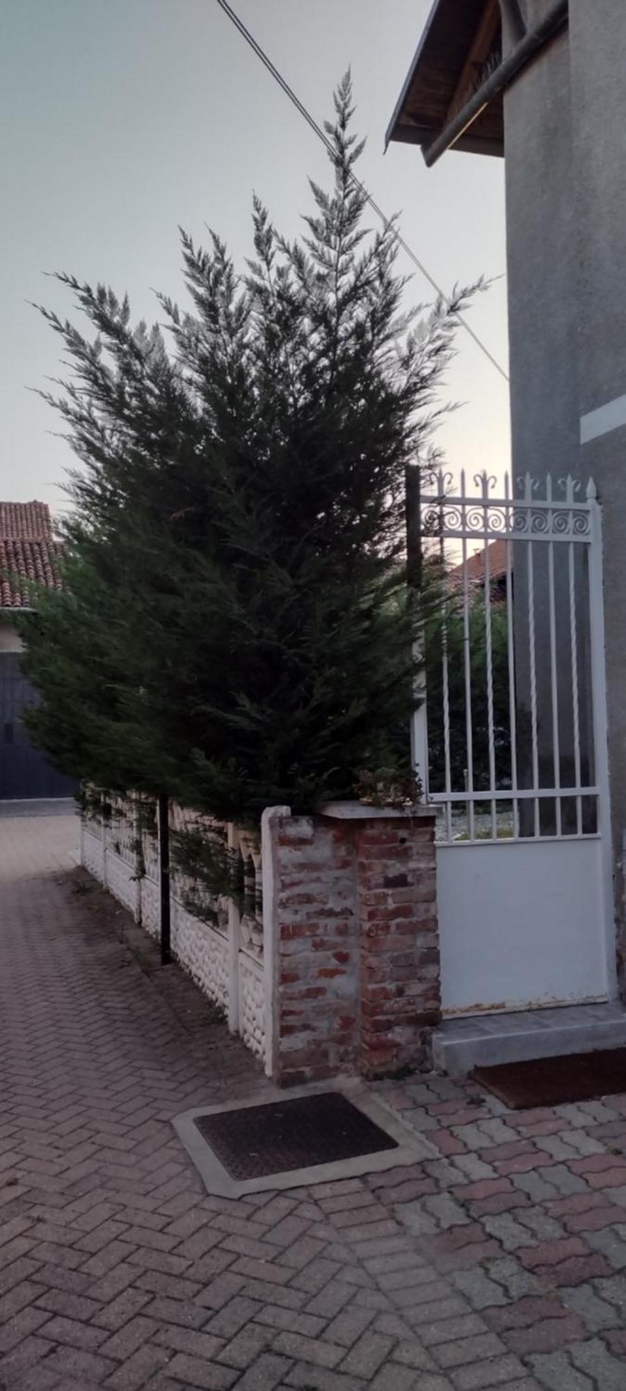Appartement Il Sole Villino Centro Storico, Giardino, Free Parking, Free Wi-fi *